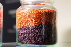 Jacopo.MelchiorriPH-216