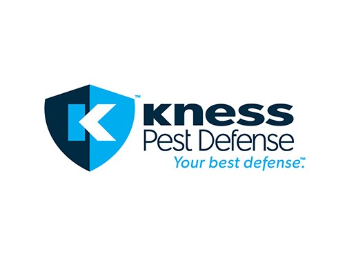 logo-Kness